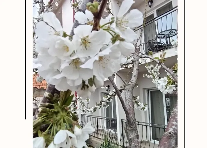 Casa de hóspedes Casa Daky Două Mai