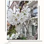 Guest house Casa Daky 2 Mai