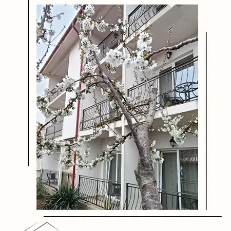Casa Daky Pensjonat Două Mai