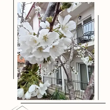 Pensjonat Casa Daky Două Mai