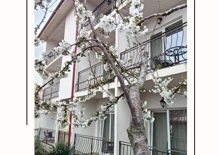 Casa Daky Guest house 2 Mai